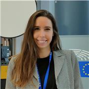 Traducción del francés/inglés al español